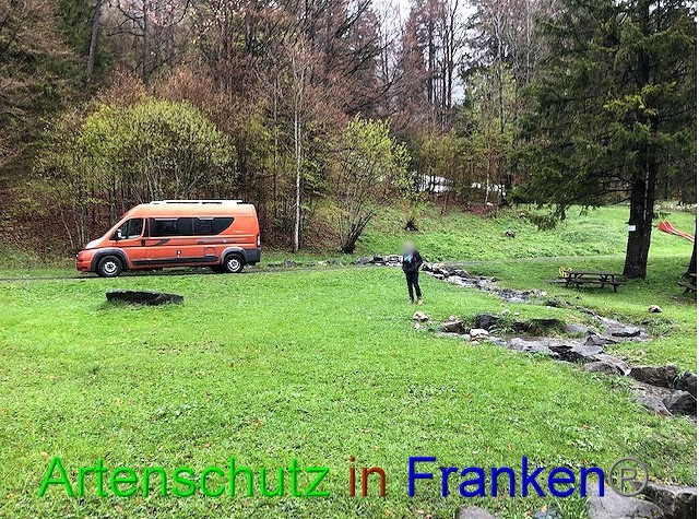 © Artenschutz in Franken® / Krautwurst Bild zum Eintrag (1053007-160)