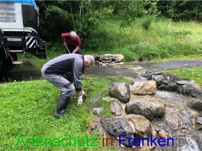 © Artenschutz in Franken® Bild zum Eintrag (1053009-160)