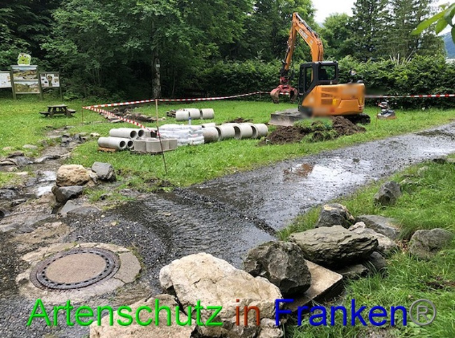 © Artenschutz in Franken® Bild zum Eintrag (1053011-160)