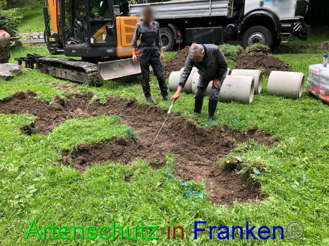 © Artenschutz in Franken® Bild zum Eintrag (1053020-160)