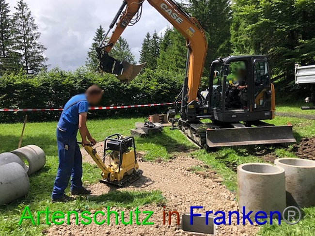 © Artenschutz in Franken® / Krautwurst Bild zum Eintrag (1053024-160)