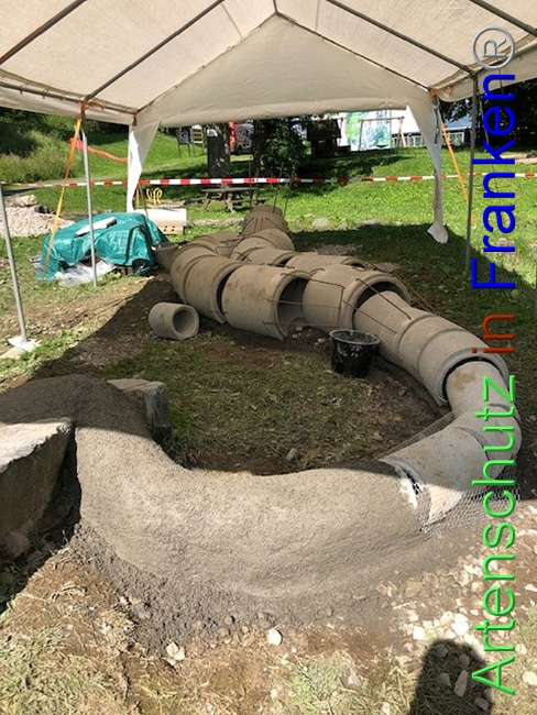 © Artenschutz in Franken® / Krautwurst Bild zum Eintrag (1053272-160)