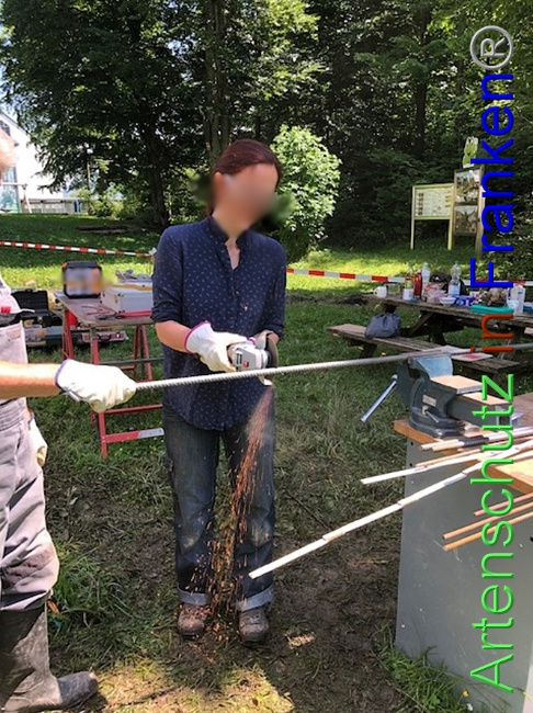 © Artenschutz in Franken® / Krautwurst Bild zum Eintrag (1053274-160)