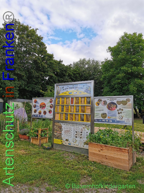 © Artenschutz in Franken® / Gonsior Bild zum Eintrag (1053287-160)