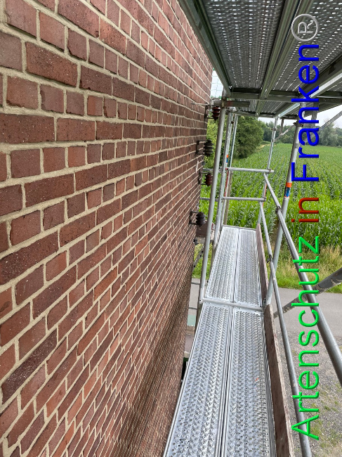 © Artenschutz in Franken® / Vehoff Bild zum Eintrag (1053323-160)
