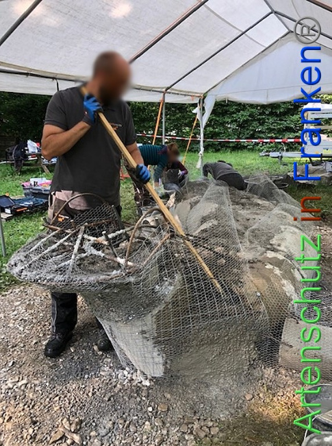 © Artenschutz in Franken® / Krautwurst Bild zum Eintrag (1053394-160)