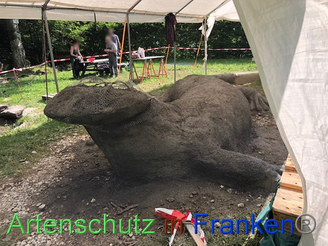 © Artenschutz in Franken® / Krautwurst Bild zum Eintrag (1053396-160)