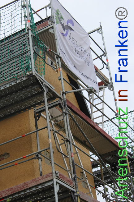 © Artenschutz in Franken® / VUS - Arndt Bild zum Eintrag (1053413-160)