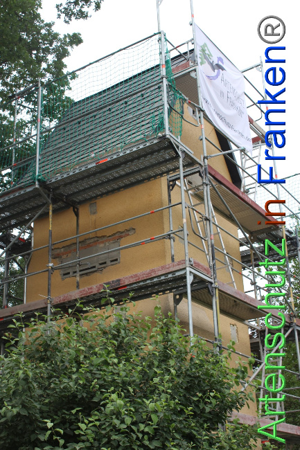 © Artenschutz in Franken® / VUS - Arndt Bild zum Eintrag (1053414-160)