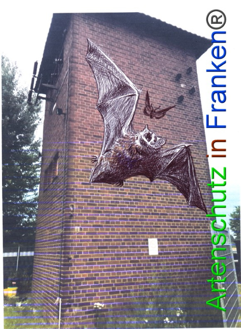 © Artenschutz in Franken® / Horn Bild zum Eintrag (1053545-160)