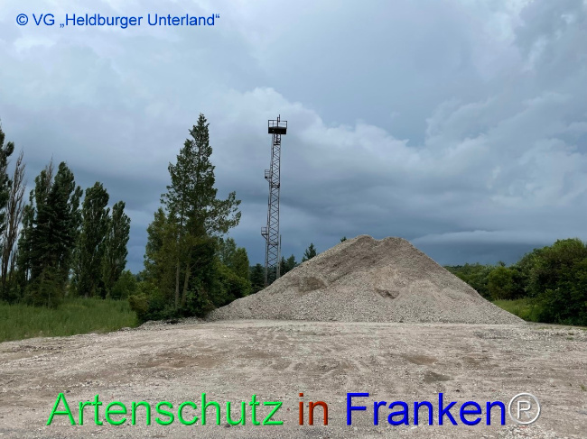 © Artenschutz in Franken® Bild zum Eintrag (1053592-160)