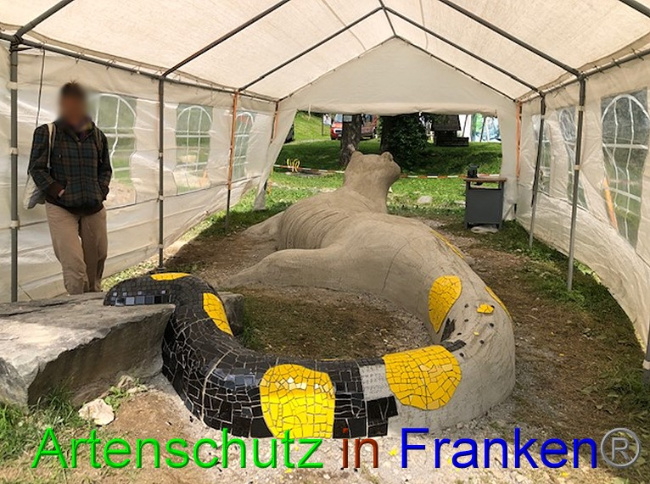 © Artenschutz in Franken® / Krautwurst Bild zum Eintrag (1053622-160)