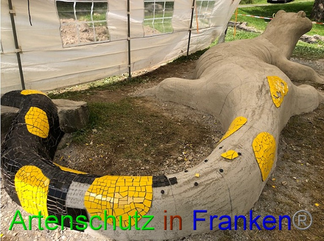 © Artenschutz in Franken® / Krautwurst Bild zum Eintrag (1053623-160)