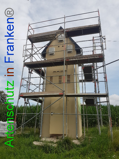 © Artenschutz in Franken® Bild zum Eintrag (1053647-160)