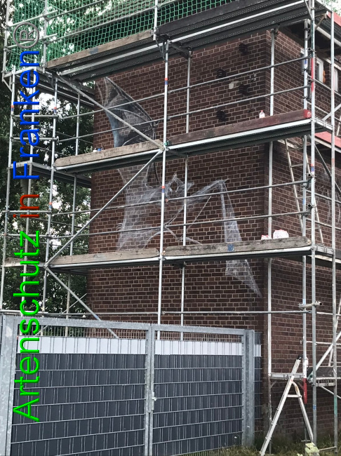 © Artenschutz in Franken® Bild zum Eintrag (1053658-160)