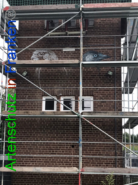 © Artenschutz in Franken® Bild zum Eintrag (1053659-160)