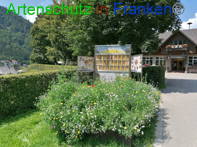 © Artenschutz in Franken® / Lais Bild zum Eintrag (1053678-160)