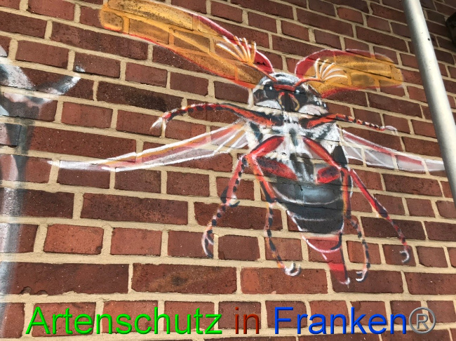 © Artenschutz in Franken® Bild zum Eintrag (1053695-160)