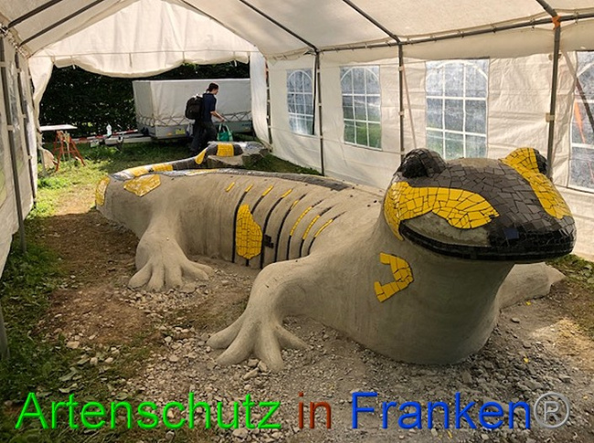 © Artenschutz in Franken® / Krautwurst Bild zum Eintrag (1053730-160)