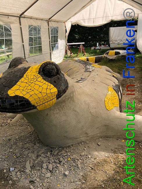 © Artenschutz in Franken® / Krautwurst Bild zum Eintrag (1053732-160)