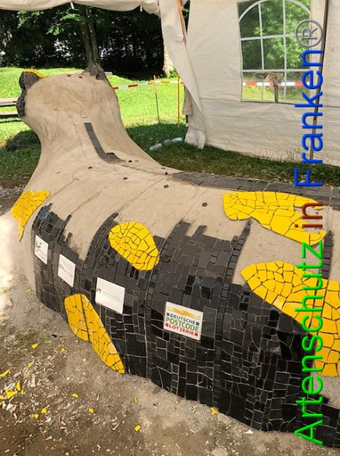 © Artenschutz in Franken® / Krautwurst Bild zum Eintrag (1053733-160)