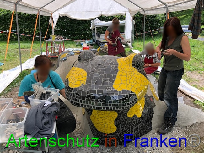© Artenschutz in Franken® / Krautwurst Bild zum Eintrag (1053858-160)