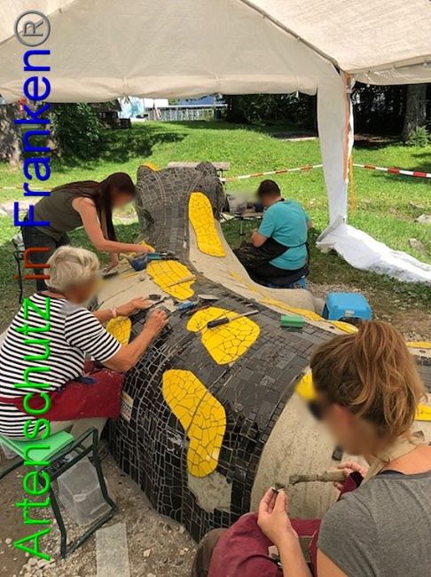© Artenschutz in Franken® / Krautwurst Bild zum Eintrag (1053859-160)