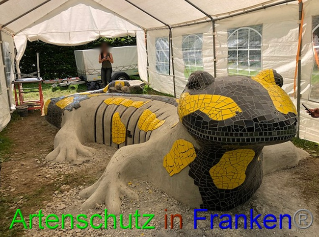 © Artenschutz in Franken® / Krautwurst Bild zum Eintrag (1053860-160)