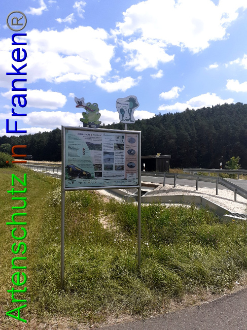 © Artenschutz in Franken® Bild zum Eintrag (1053874-160)