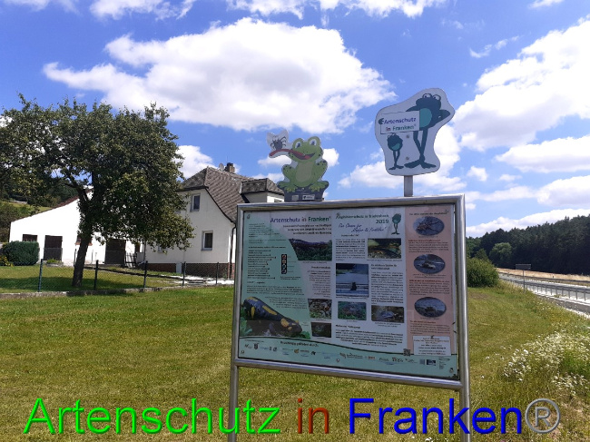 © Artenschutz in Franken® Bild zum Eintrag (1053875-160)