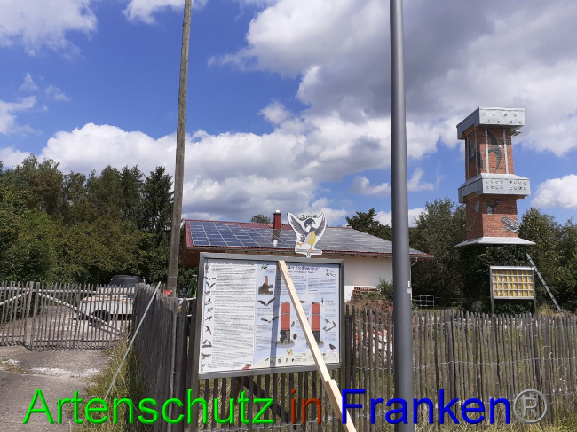© Artenschutz in Franken® Bild zum Eintrag (1053894-160)