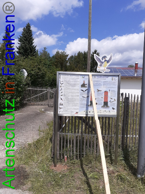 © Artenschutz in Franken® Bild zum Eintrag (1053895-160)