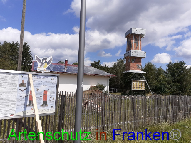 © Artenschutz in Franken® Bild zum Eintrag (1053896-160)