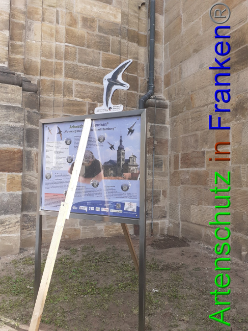 © Artenschutz in Franken® Bild zum Eintrag (1053936-160)