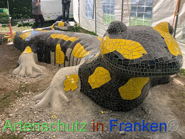 © Artenschutz in Franken® / Krautwurst Bild zum Eintrag (1054191-160)