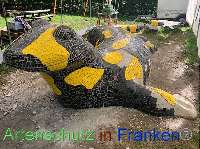 © Artenschutz in Franken® / Krautwurst Bild zum Eintrag (1054192-160)