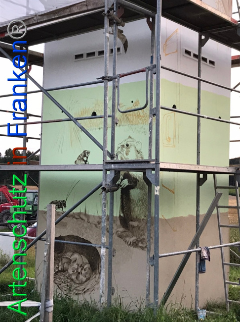 © Artenschutz in Franken® Bild zum Eintrag (1054318-160)