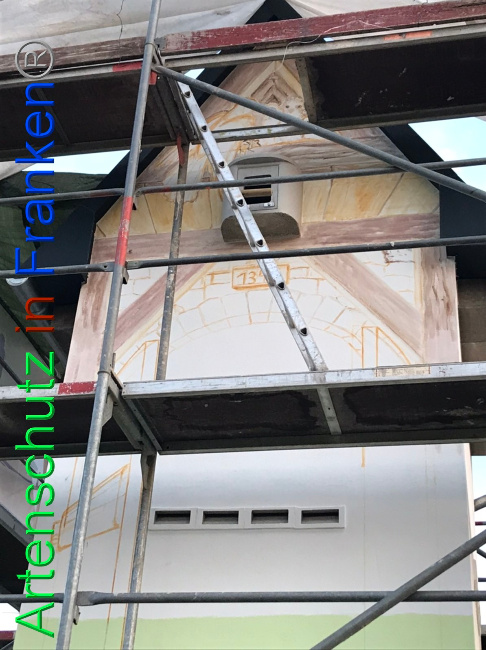 © Artenschutz in Franken® Bild zum Eintrag (1054319-160)