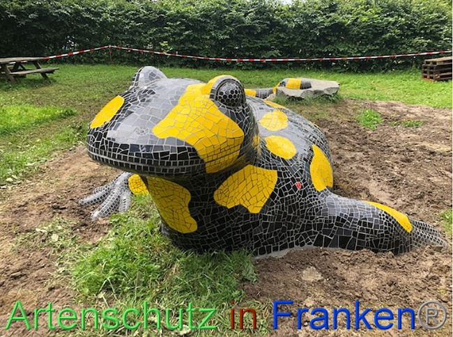 © Artenschutz in Franken® / Krautwurst Bild zum Eintrag (1054352-160)