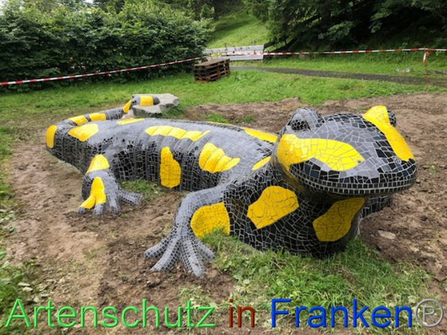 © Artenschutz in Franken® / Krautwurst Bild zum Eintrag (1054353-160)