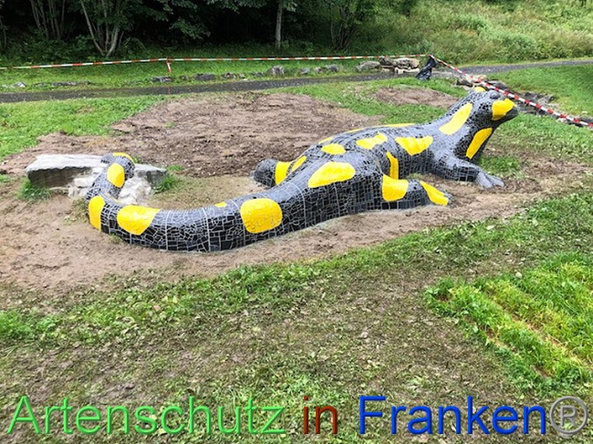© Artenschutz in Franken® / Krautwurst Bild zum Eintrag (1054354-160)