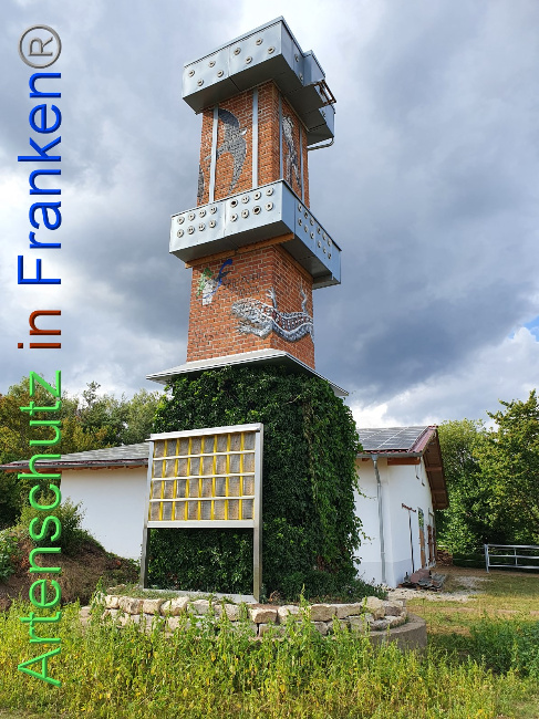 Bild zum Eintrag (1054377-160)