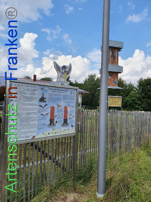 © Artenschutz in Franken® Bild zum Eintrag (1054378-160)