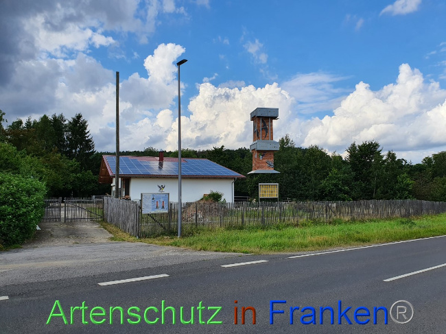 Bild zum Eintrag (1054380-160)