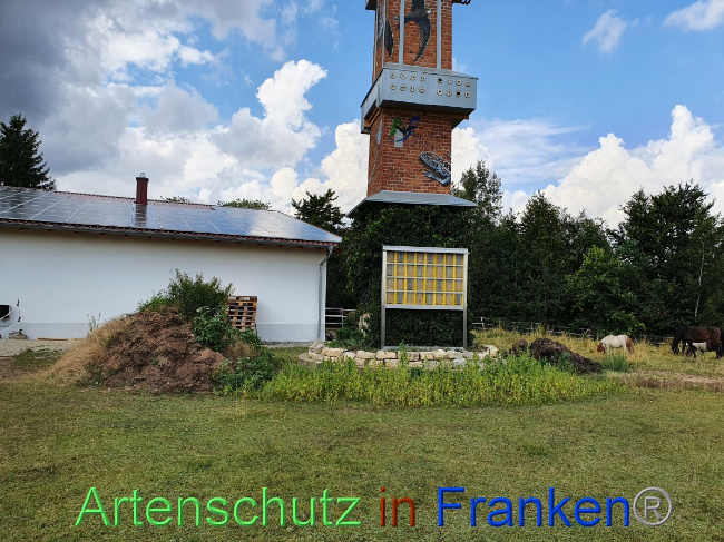 Bild zum Eintrag (1054381-160)