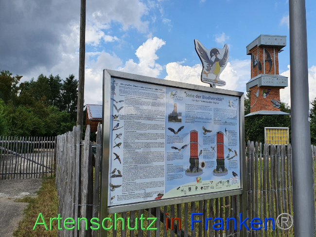 Bild zum Eintrag (1054382-160)