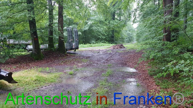 © Artenschutz in Franken® Bild zum Eintrag (1054615-160)