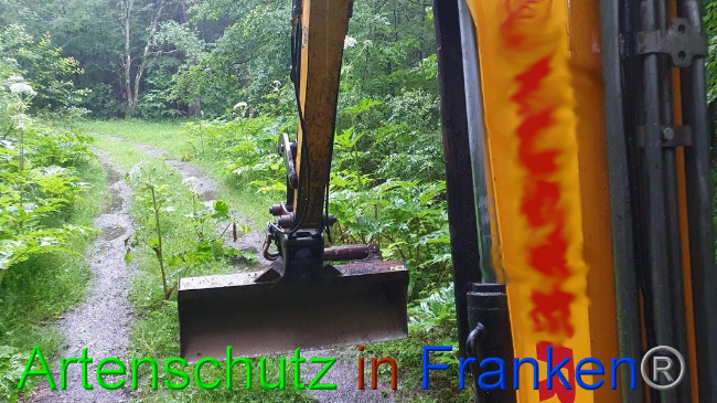 © Artenschutz in Franken® Bild zum Eintrag (1054619-160)