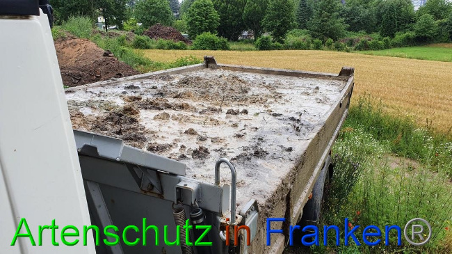 © Artenschutz in Franken® Bild zum Eintrag (1054671-160)