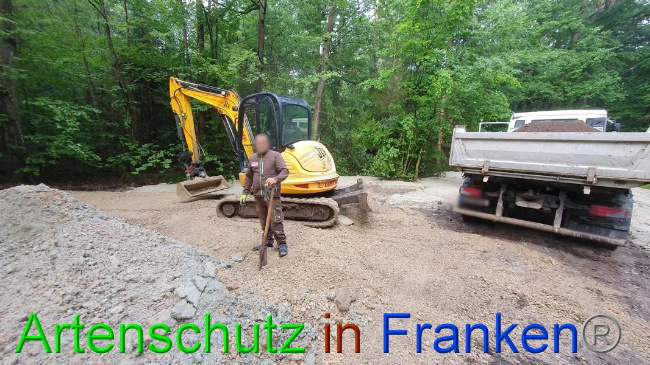 © Artenschutz in Franken® Bild zum Eintrag (1054673-160)